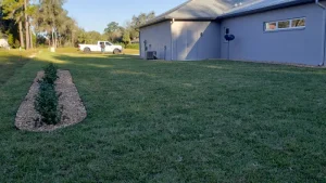new lawn installation