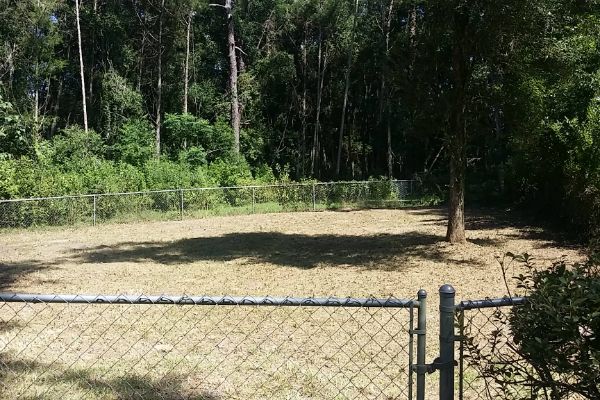 Property Clean Ups