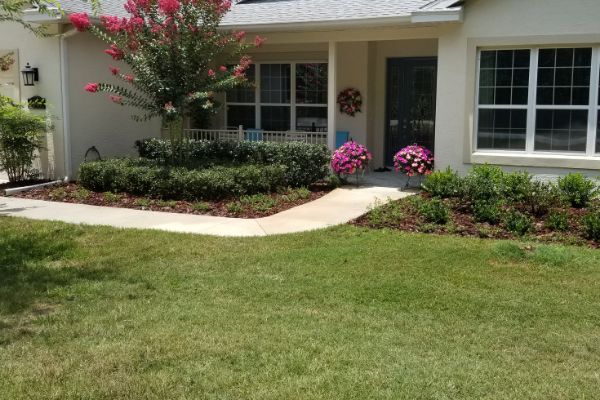 Garden Bed Makeovers