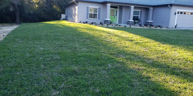 How Often Should Lawns Be Mowed in Florida?