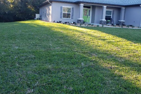 Lawn Care Services