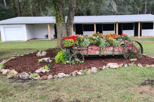 Mulch Installation