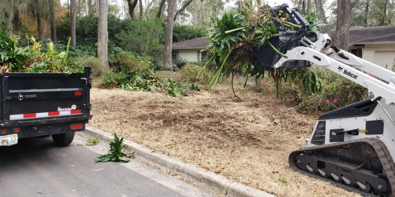 Overgrown Yard Clean up