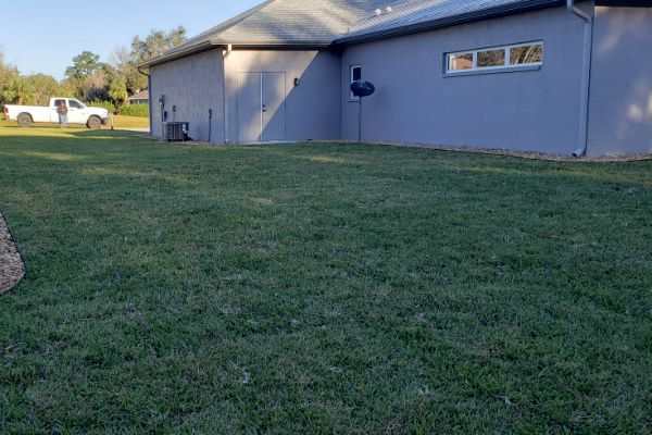 Sod Installation